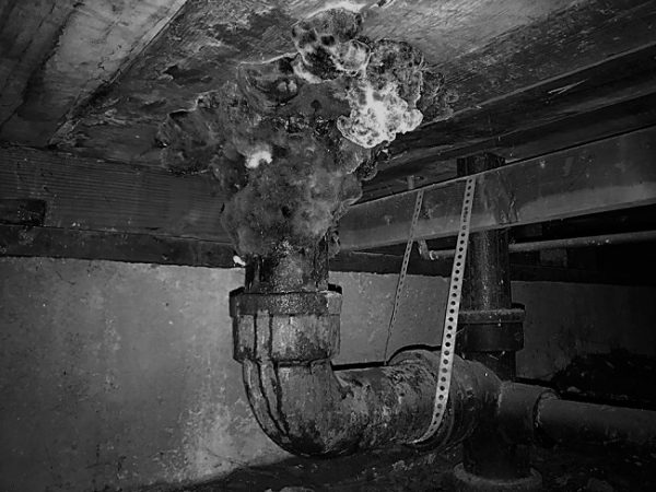 Mold and the Brain: How a Leaky Pipe Can Lead to a Leaky Brain