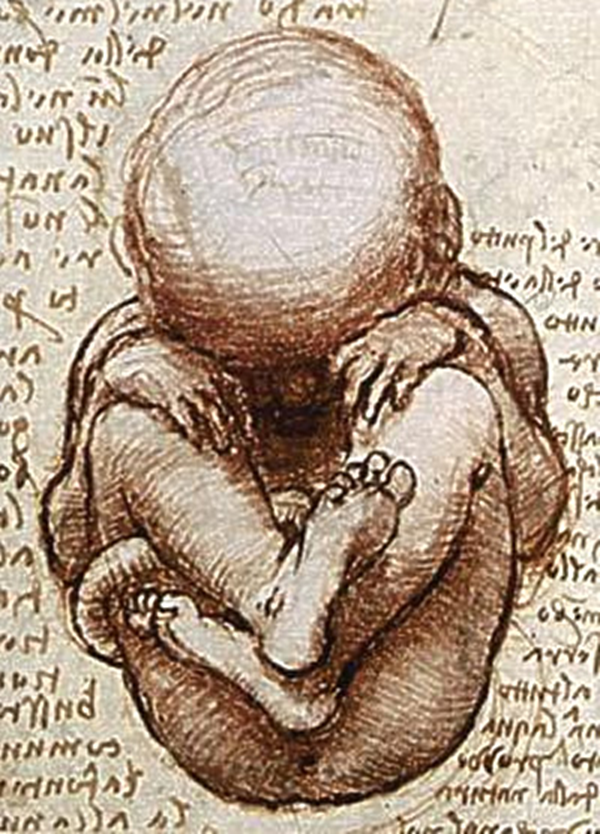 DES and male sexual development