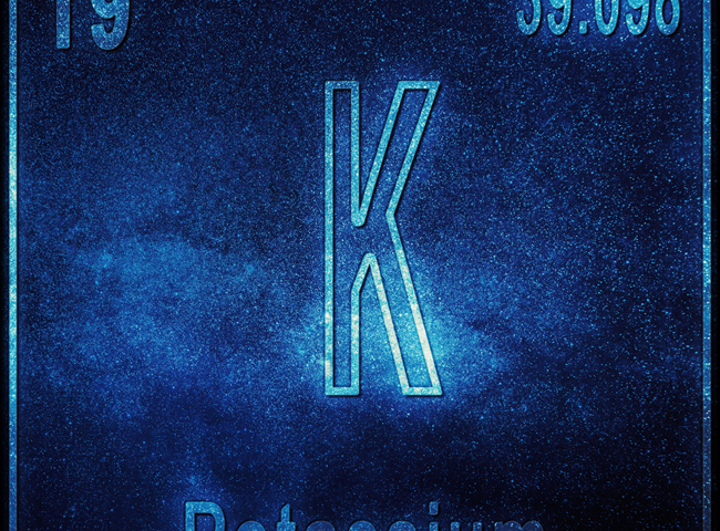 The role of thiamine in potassium deficiency